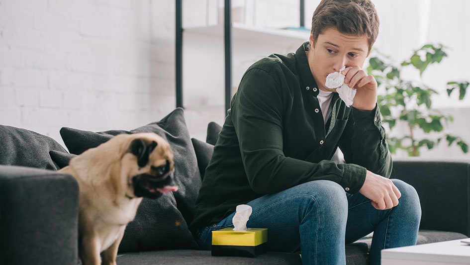 Getting an air purifier is one of the wisest ways to improve your home’s indoor air quality. Learn more about the three best solutions. 